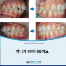 연세닥터스치과의원 이미지