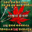 🍁만추의 아름다운 10월의 끝자락에서...!! 우리 벗님들께 안부를 전합니다🍁 이미지