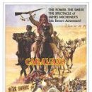 카라인1978 이미지