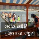 하나개해수욕장 | 아이와 하나개해수욕장 해루질 후기, 트랙터 타고 갯벌 들어가니 조개가 정말 잡히더라고요