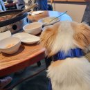 학곡사거리막국수닭갈비 이미지