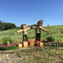 메밀꽃체육관 이미지