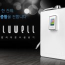 블루웰 네이버블로그