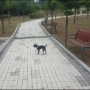 주적체육공원 이미지