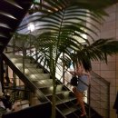 카페크러쉬온드 이미지