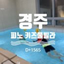 피노키즈풀빌라