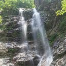 강촌스카이 이미지