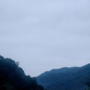 명월마트
