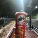 백운체육관 | 경기도 벚꽃 명소 추천 🌸 의왕 백운호수 야간 벚꽃 산책 후기 🌸 봄밤 감성 데이트 코스 추천