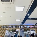 속초설악의풍경펜션 | [흠뻑쇼] 흠뻑쇼 보러 속초까지