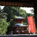 "오사카 3대명산을 한번에 단풍억새시즌" 26년 11/07일(토)~11/09일(월) 곤고잔+이와와키+고야산트레킹 / 인천.부산동시출발 이미지