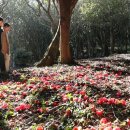 산이랑별이랑민박 이미지