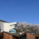 스테이고현 이미지