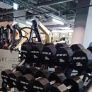 지니월드짐 이미지