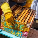 수주농장 이미지