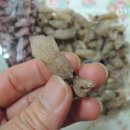 대봉건해산물