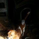 윤씨네농장 이미지