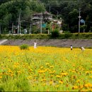 하이마로 이미지