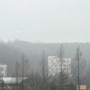 홍두깨손칼국수 이미지