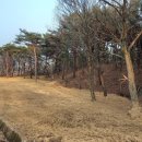 덕지농장 이미지