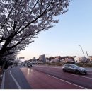 강산당구장 네이버블로그