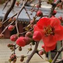 햇빛 행정사사무소 이미지