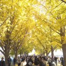 곡교천길 이미지