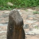 순천-51호 이미지