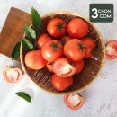 토마토 이미지