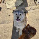 흥정계곡 409 이미지