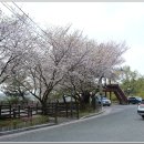 충남 논산 노성산(魯城山, 348m)-봉우재산 : 2024. 4. 10. 이미지