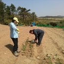 아름농장 이미지