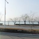 하단동195 이미지