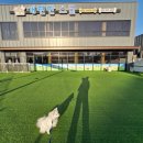 개편한 스쿨 이미지