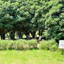 향나무쉼터 이미지