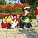 양대초등학교 이미지