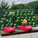 소로3-36 | [청도군파크루지] 7살 아이와 다녀온 국내 최장 루지체험 후기