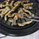 오리와 장어 네이버블로그