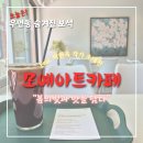 우면동 숨겨진 보석, 모예아트카페 후기 || 작품 감상까지 가능한 미술관 카페