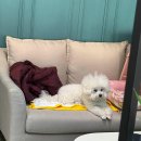 스페스커피