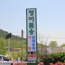 정이품송가든 네이버블로그