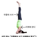 달숲 - 당진시 시청2로 10 | 달숲