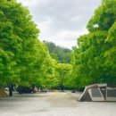 큰마당캠핑장 이미지