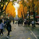 올리비아로렌대전 - 중구 동서대로 1231 | [아이림] 대전 대박사건후기