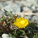 송가인공원 이미지