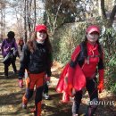 뽑아가세용 이미지