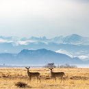 로케이션 이미지