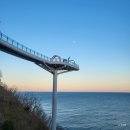 UR(동해시)-[발한로]-상-18 | 1월 묵호 : 새해맞이 여자 혼자 뚜벅이 1박 2일 동해 묵호 여행 / 논골담길 / 묵호등대 / 해랑전망대...