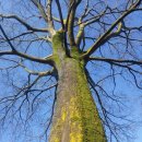 메타 행정사사무소 이미지