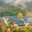 청도군-5 이미지